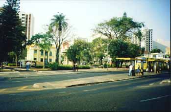 udia6.jpg